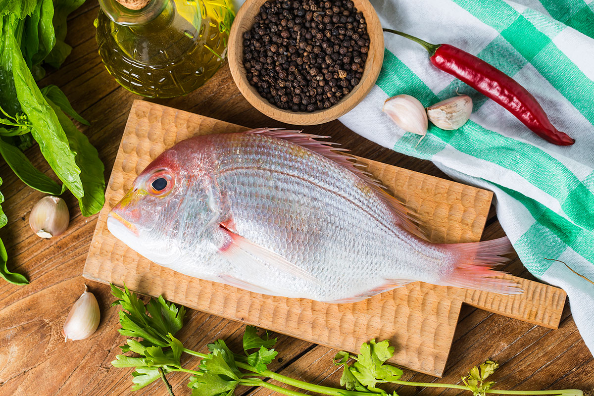 Amazing fish from Mediterranean sea